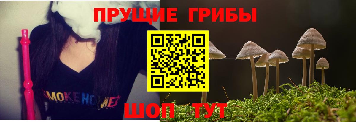 Галлюциногенные грибы MAGIC MUSHROOMS  Псилоцибиновые грибы Cubensis  Камень-на-Оби  Вход с VPN 